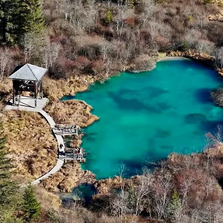 Misty Forest Kranjska Gora