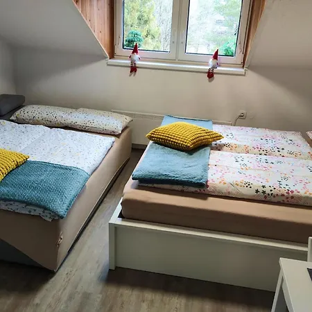 Misty Forest * Kranjska Gora