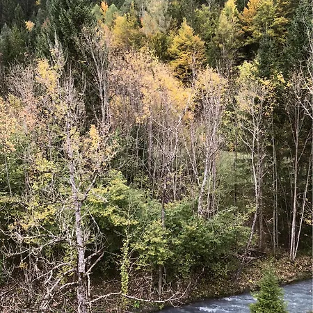 Misty Forest Apartamento