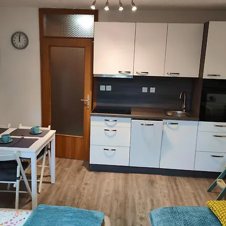 Misty Forest Kranjska Gora