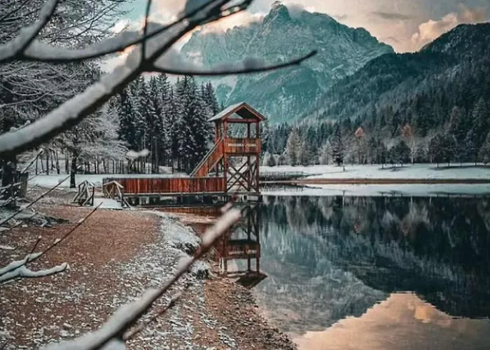 Misty Forest شقة كْرانْيِسكا غورا