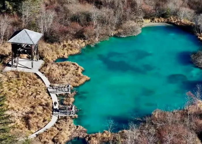 Misty Forest كْرانْيِسكا غورا